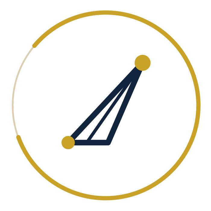 Digital Vision logo